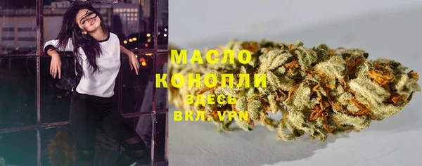 PSILOCYBIN Аркадак