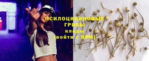 PSILOCYBIN Арсеньев