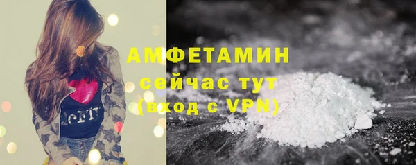 ГАЛЛЮЦИНОГЕННЫЕ ГРИБЫ Семёнов