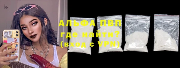 PSILOCYBIN Аркадак