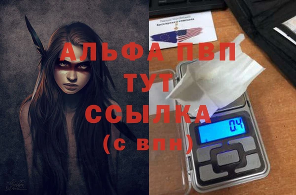 PSILOCYBIN Аркадак