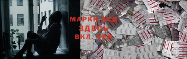 PSILOCYBIN Арсеньев
