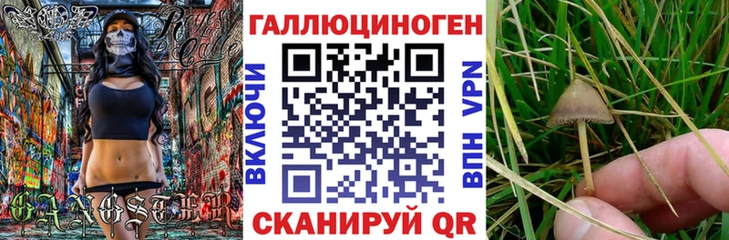 Псилоцибиновые грибы ЛСД купить Сухой Лог